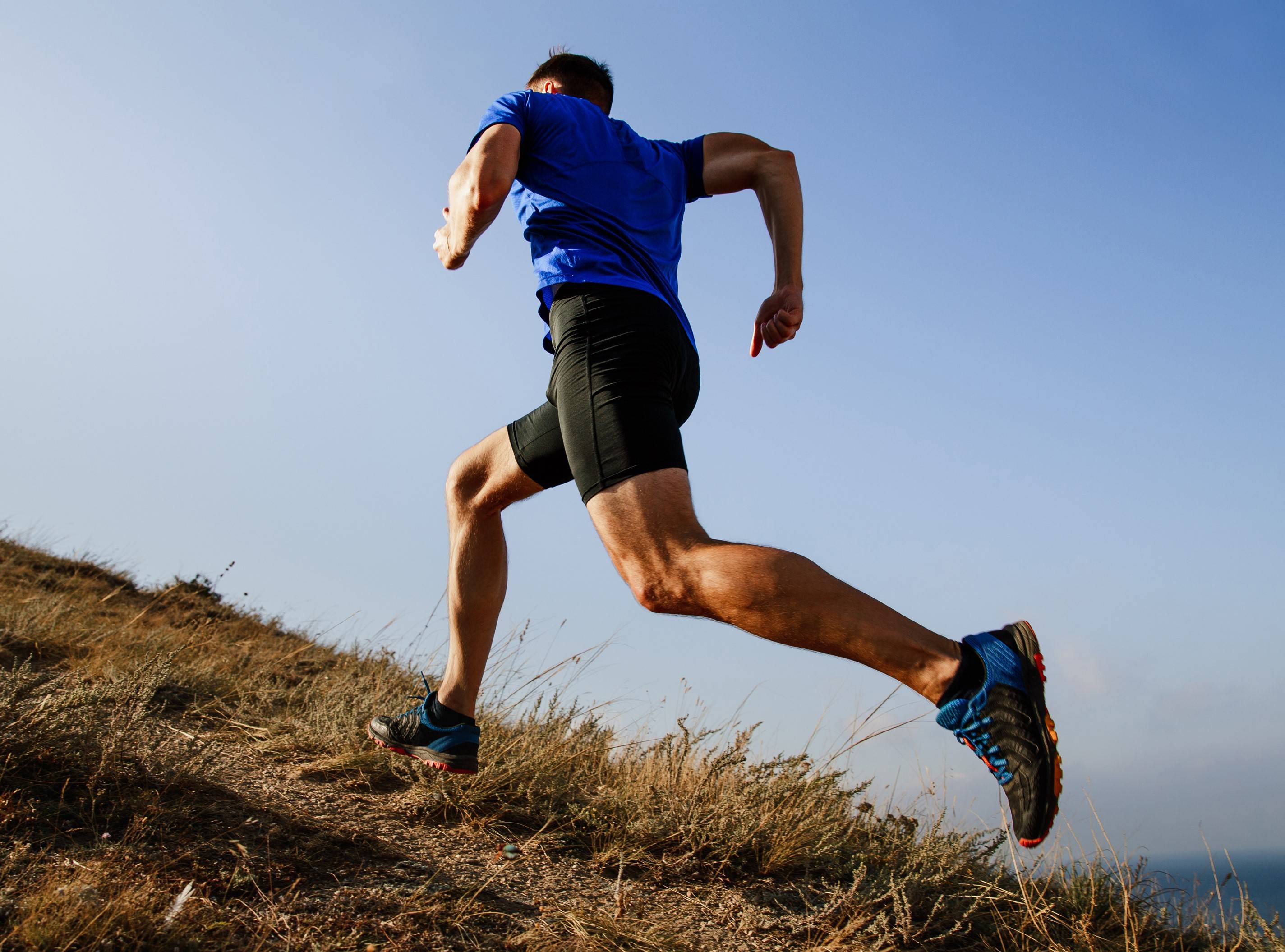 Racines séchées de rhodiola pour l'endurance
